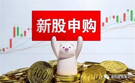 轻松掌握新股申购步骤 1