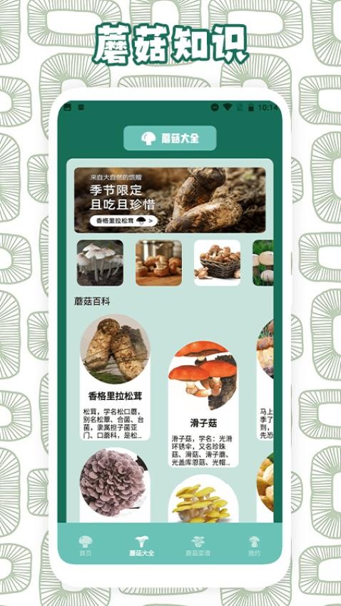 蘑菇识别助手app