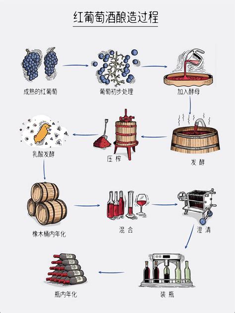 揭秘葡萄酒的完美酿制流程 2