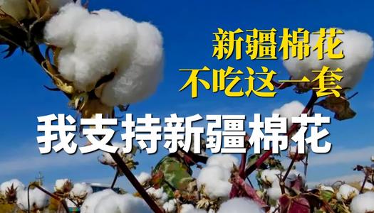 我支持新疆棉花图片 v1.3