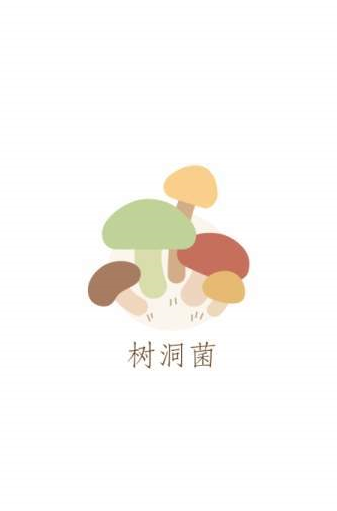 树洞菌2025