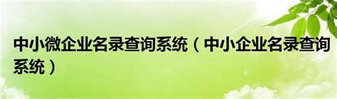 轻松掌握：如何查询中小企业名单的方法 3