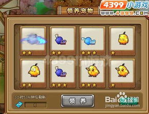 弹弹堂2小鸡宠物：技能升级全攻略解析 2