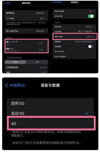 苹果手机4G网络设置全攻略 5