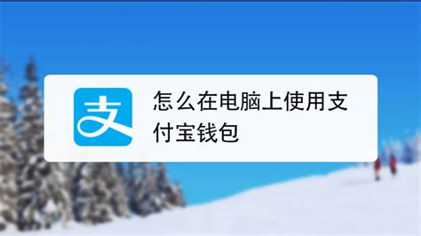 掌握支付宝使用技巧，轻松享受便捷支付生活！ 3