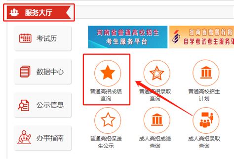 高考成绩查询全攻略：轻松掌握查分步骤 3