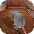猫鼠之战安卓版 v3.30