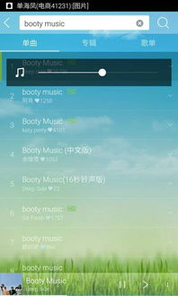 《Booty Music》歌词的中文翻译是什么 2