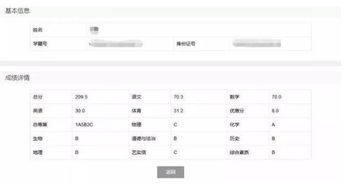 揭秘！一键查询中考成绩的网上秘籍，轻松搞定查询难题 3