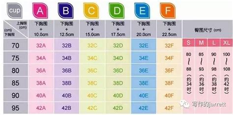 文胸尺码是否统一？胸罩尺寸对照表查询 4