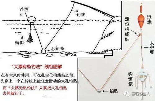 精选'漂'字组词大全 3