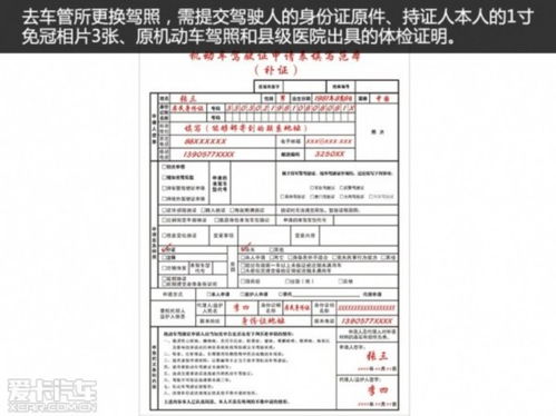 如何申请国际驾驶执照 3