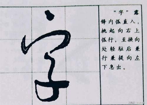 揭秘汉字魅力：深入剖析'皮'字的独特结构奥秘 1