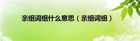 探索'亲'字的魅力：创意组词大集合，温情满满新发现！ 2