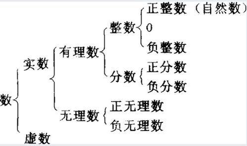 揭秘！自然数究竟包含哪些神奇的数字？ 1