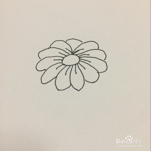 如何轻松绘制简约菊花简笔画 3