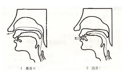 揭秘！前鼻音与后鼻音全攻略：你究竟能区分多少种？ 1