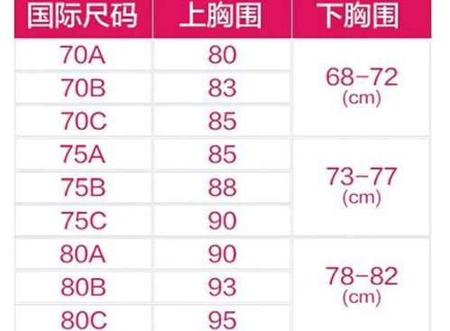 全面解析：罩杯尺码分类与选择指南 2