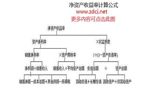 揭秘！净资产收益率计算公式大公开，轻松掌握财务核心指标 3