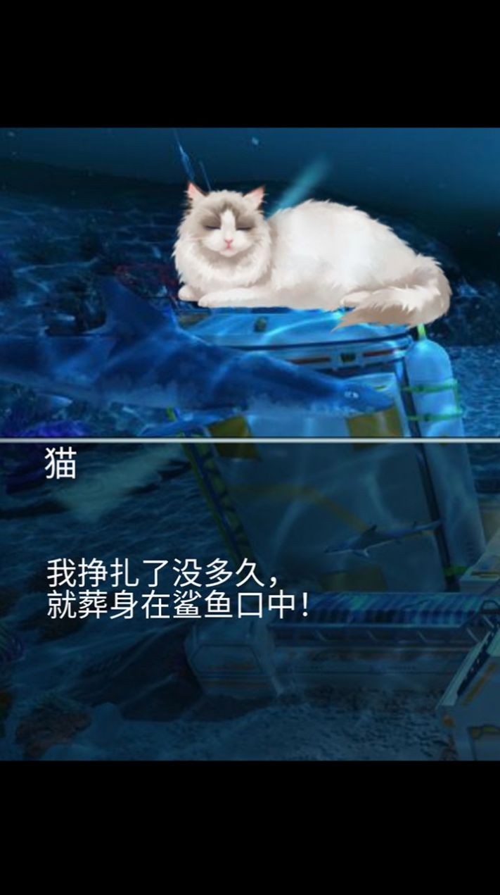 猫生煎熬 