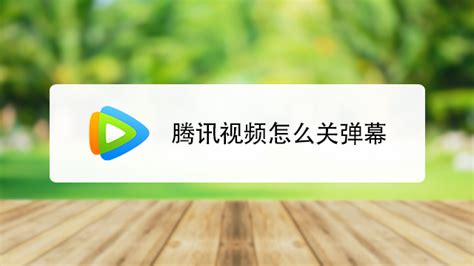如何在手机优酷APP中播放本地视频 5