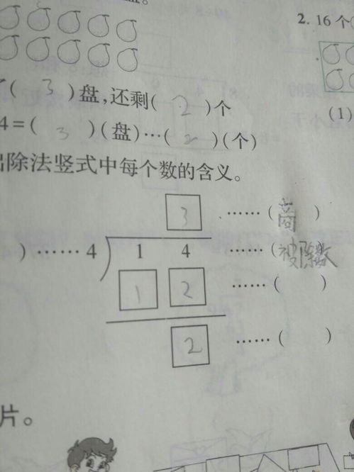 揭秘：被除数、除数与商的定义是什么？ 2