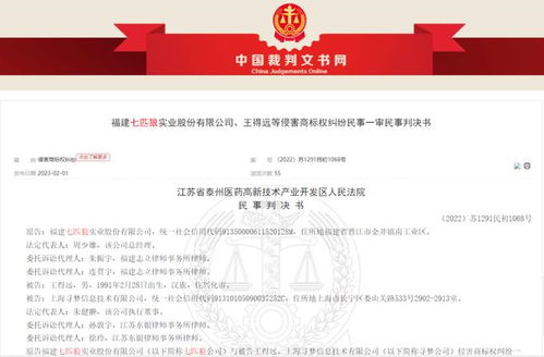 中国裁判文书网：高效查询判决书的步骤与方法 2