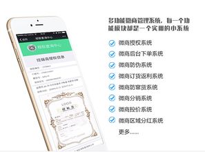 全面掌握微商管理系统：定义、功能与实战教程 1