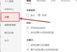 如何在有道词典设置翻译后发音 2