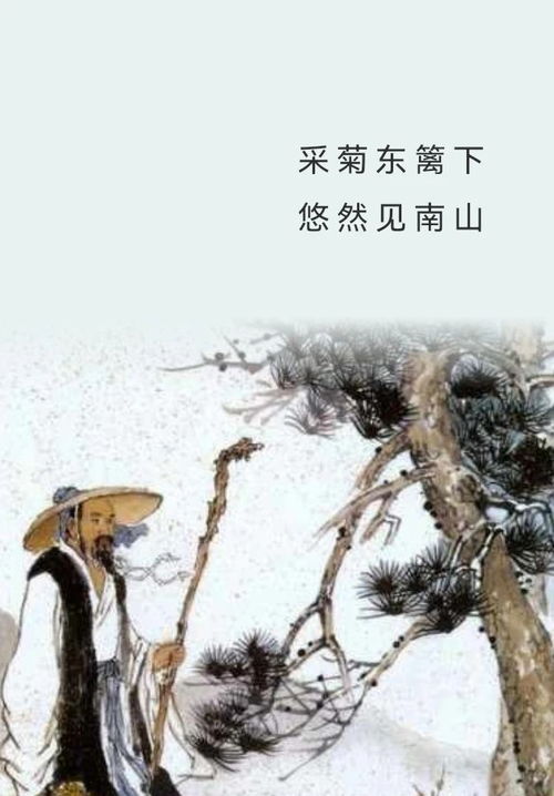 探秘古诗意境：'采菊东篱下，悠然见南山'究竟蕴含何种悠然心境？ 2