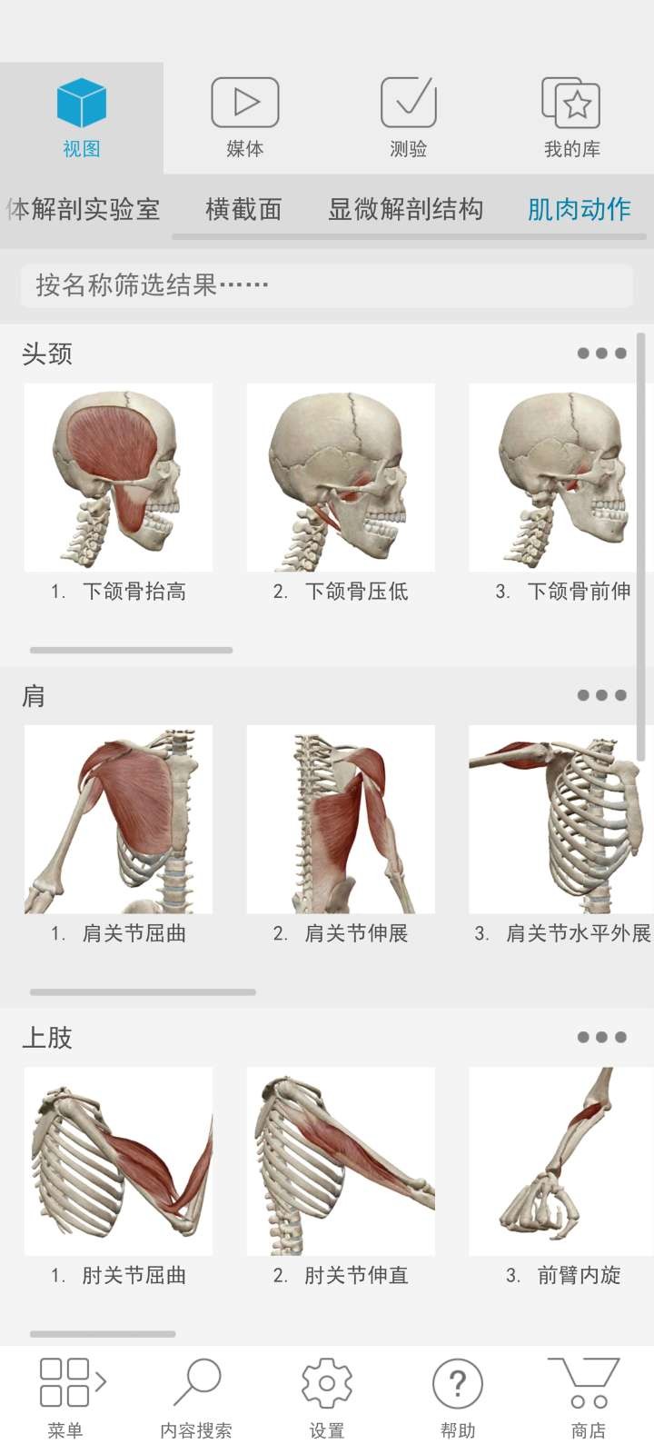 Atlas人体解剖学图谱