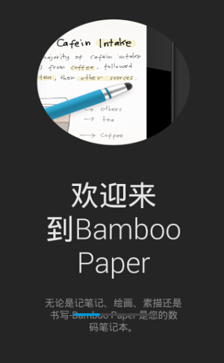 bamboo paperapp