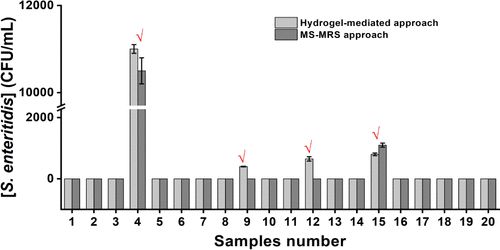 Ms与Mrs之间有何区别？详解两者用法与差异 1