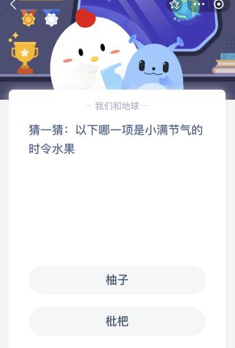 小满节气时令水果：蚂蚁庄园精选选项 4