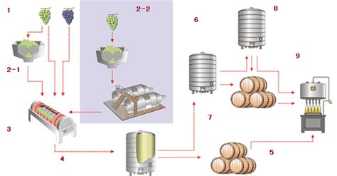 高效优化葡萄酒酿造全流程解析 4