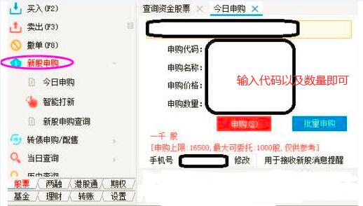 新手必看：轻松掌握申购新股技巧 1