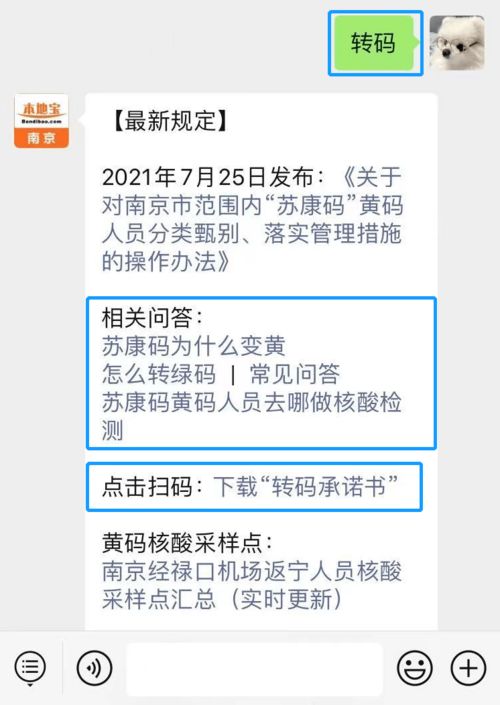黄码转绿码：速效攻略大揭秘 2