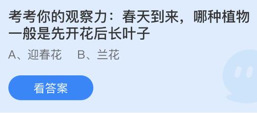 春天到来时，哪种植物通常先开花后长叶子？ 3