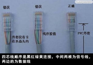 制作与连接电话线水晶头的步骤 1