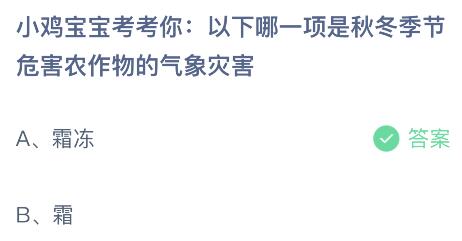 大寒节气习俗揭秘：古人冬日生活趣谈，蚂蚁庄园1.20揭秘传统 1