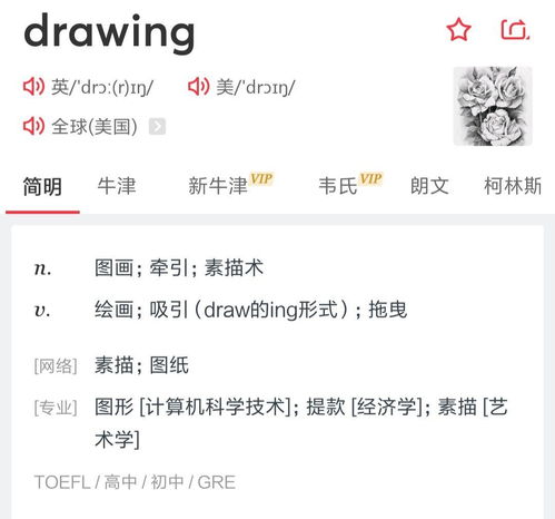 How to Say 'Drawing' in English 3