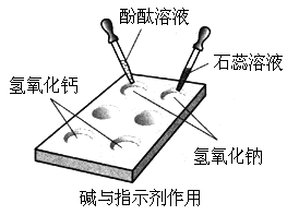 如何初步区分常用的氮肥、磷肥和钾肥？ 2