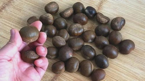 轻松学会：剥生栗子皮的妙招 4