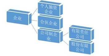 轻松掌握：如何准确区分企业类型 2