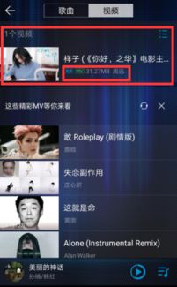 享受视听盛宴：轻松学会下载音乐视频(MV)技巧 4