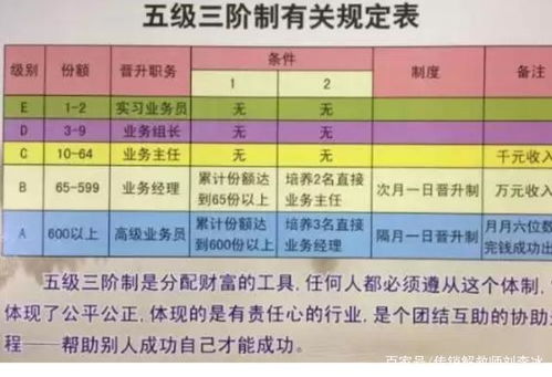 揭秘：五级三阶制软件高效操作全指南 3