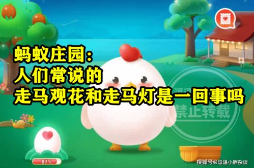 蚂蚁庄园探秘：'陶'与'瓷'是否为同一物质辨析 1