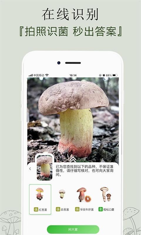 菌窝子app