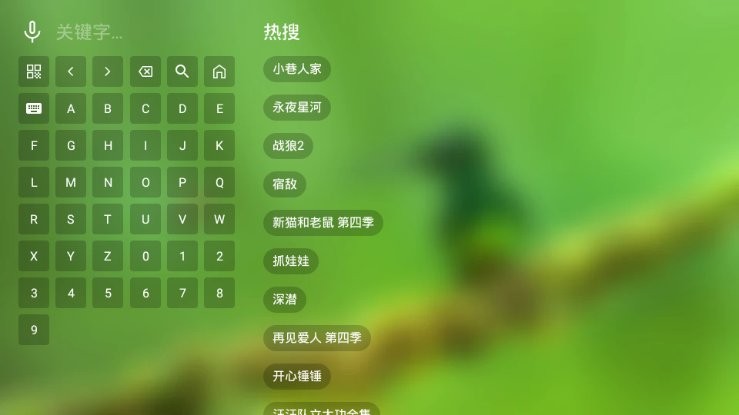宝全视界电视版
