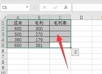 掌握精准毛利计算：揭秘正确公式 1